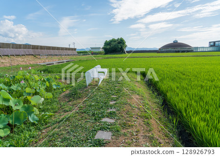 Suiden Terrace 128926793