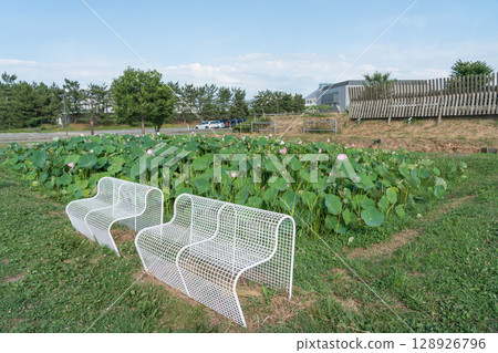 Suiden Terrace 128926796