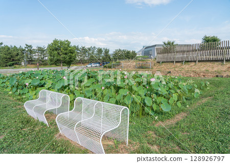 Suiden Terrace 128926797