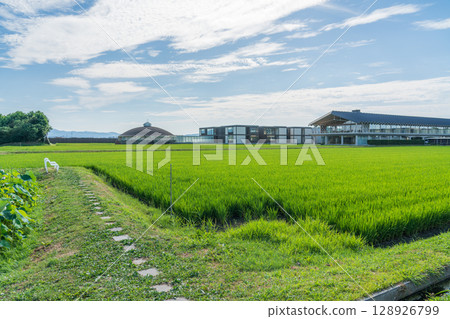 Suiden Terrace 128926799