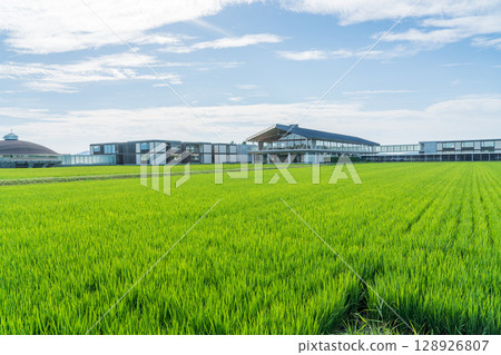 Suiden Terrace Suiden Terrace 128926807