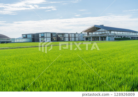 Suiden Terrace Suiden Terrace 128926809