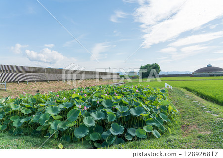 Suiden Terrace 128926817