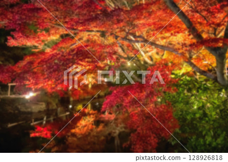 Defocused colorful autumn leaf light up at Kurodani garden, Kyoto 128926818