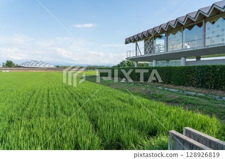 Suiden Terrace Suiden Terrace 128926819