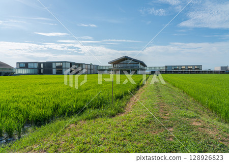 Suiden Terrace 128926823