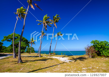 大洋洲斐濟共和國維提島西部瑪瑪努卡群島瑪娜島上的日落海灘和棕櫚樹 大洋洲斐濟共和國維提島西部瑪瑪努卡群島瑪娜島上的日落海灘和棕櫚樹 128927807