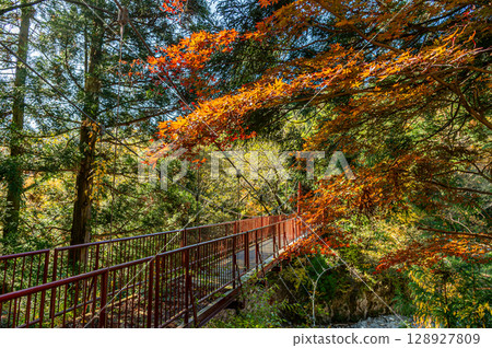 Ugakei in autumn 128927809