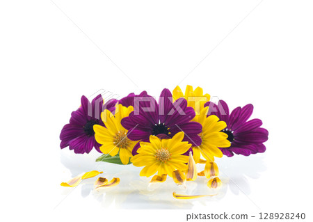 Yellow and purple flowers arrangement with petals on white background 128928240