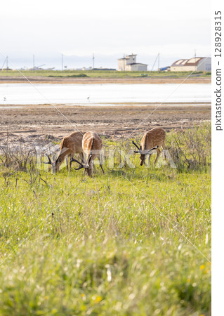 Scenery of Notsuke Peninsula, Hokkaido 128928315