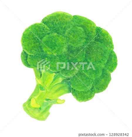 Broccoli illustration material drawn in watercolor 128928342