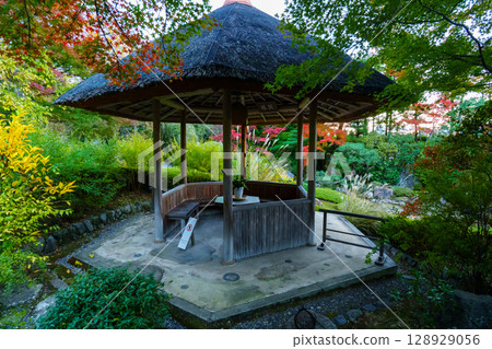 妙心寺退藏院橫光園 128929056