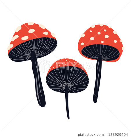 Vector card with stylized fly agarics in naive style. Illustration of drawn magic amanita mushrooms 128929404