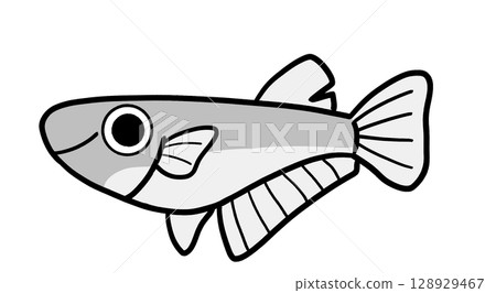 雄鱂魚(單色) 雄鱂魚(單色) 128929467