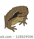 Sitting Toad 128929506