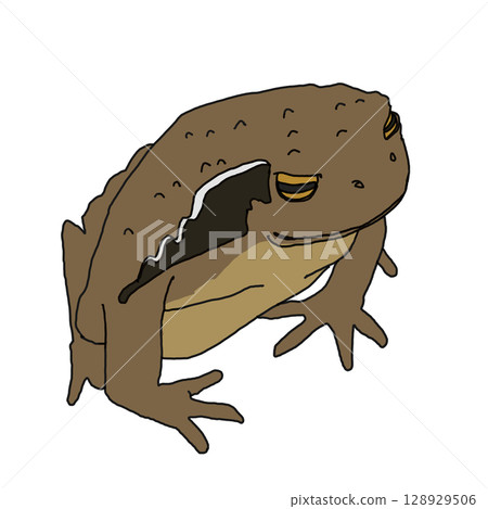 坐著的蟾蜍 128929506