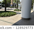 Scenery of a sidewalk with roadside trees 128929773