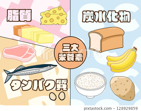 三大營養素（PFC平衡）圖解（方形）（日文） 128929859