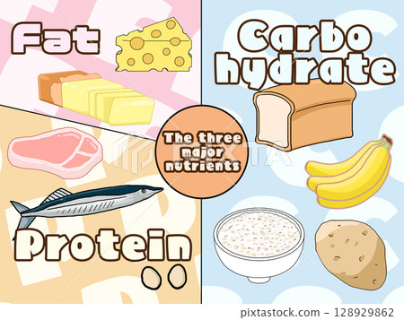 Illustration of the three major nutrients (PFC balance) (square) (English) Illustration of the three major nutrients (PFC balance) (square) (English) 128929862