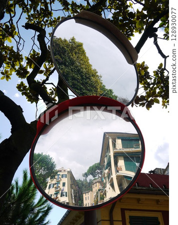 Two round mirrors are hanging from a tree 128930077
