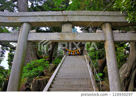 以神聖的淡水池塘而聞名的大瀨神社境內，位於中部地區伊豆半島的大瀨崎，神社參道上的鳥居，位於靜岡縣沼津市西浦 (2) 128930297