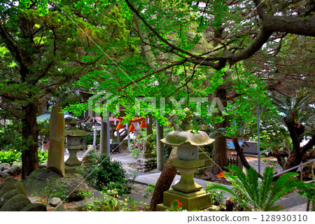 Image of the grounds of Ose Shrine, famous for its freshwater sacred pond, Osezaki, Izu Peninsula, Chubu region, Nishiura, Numazu City, Shizuoka Prefecture (3) Image of the grounds of Ose Shrine, famous for its freshwater sacred pond, Osezaki, Izu Peninsula, Chubu region, Nishiura, Numazu City, Shizuoka Prefecture (3) 128930310
