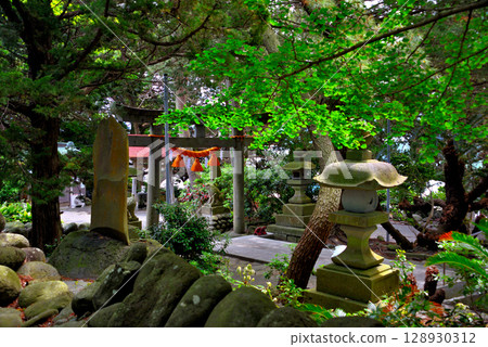 Image of the grounds of Ose Shrine, famous for its freshwater sacred pond, Osezaki, Izu Peninsula, Chubu region, Nishiura, Numazu City, Shizuoka Prefecture (5) 128930312