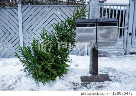 Discarded Christmas tree in snow leaning against mailbox after holiday season Discarded Christmas tree in snow leaning against mailbox after holiday season 128930472