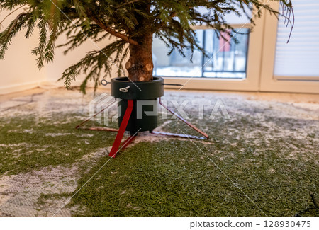 Dry Christmas tree in stand with fallen needles on carpet indoors after holidays 128930475