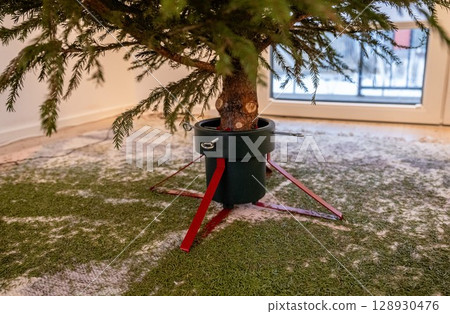 Dry Christmas tree in stand with fallen needles on carpet indoors after holidays 128930476