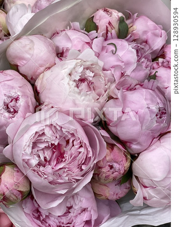 Pink peonies bouquet creates elegant floral background with soft pastel hues and delicate petals 128930594
