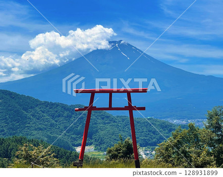 夏季的富士山和紅色鳥居 128931899