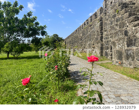 Old stone wall, road and red flowers 128932079