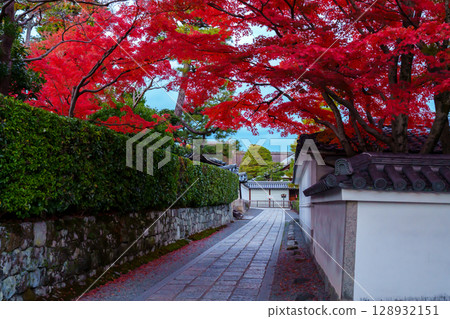 妙心寺院內的紅葉絢爛奪目 128932151