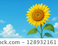 夏日藍天下盛開的充滿活力的向日葵 128932161