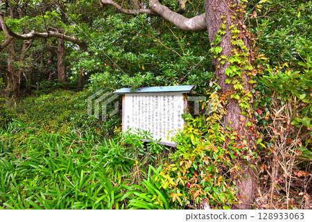 Chubu region, Izu Peninsula, Osezaki, a mysterious freshwater pond, the remains of the Suzuki Shigetomo residence next to the sacred pond of Ose Shrine, Nishiura, Numazu City, Shizuoka Prefecture (1) 128933063