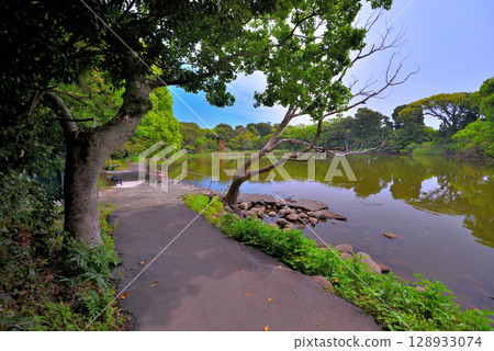 Chubu region, Izu Peninsula, Cape Ose, surrounding garden paths and a view of the mysterious freshwater sacred pond of Ose Shrine, Nishiura, Numazu City, Shizuoka Prefecture (2) Chubu region, Izu Peninsula, Cape Ose, surrounding garden paths and a view of the mysterious freshwater sacred pond of Ose Shrine, Nishiura, Numazu City, Shizuoka Prefecture (2) 128933074