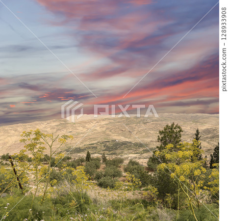 Typical mountain landscape, Jordan, Middle East  (photography from a high point). Against the background of a beautiful sky with clouds 128933908