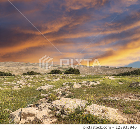 Typical mountain landscape, Jordan, Middle East  (photography from a high point). Against the background of a beautiful sky with clouds 128933940