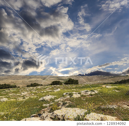 Typical mountain landscape, Jordan, Middle East (photography from a high point). Against the background of a beautiful sky with clouds Typical mountain landscape, Jordan, Middle East (photography from a high point). Against the background of a beautiful sky with clouds 128934092