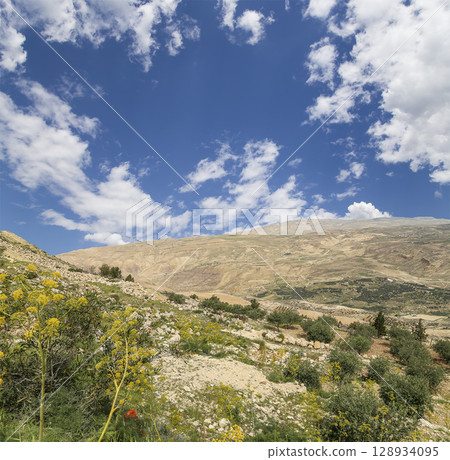 Typical mountain landscape, Jordan, Middle East  (photography from a high point). Against the background of a beautiful sky with clouds 128934095