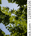 Green 128934106