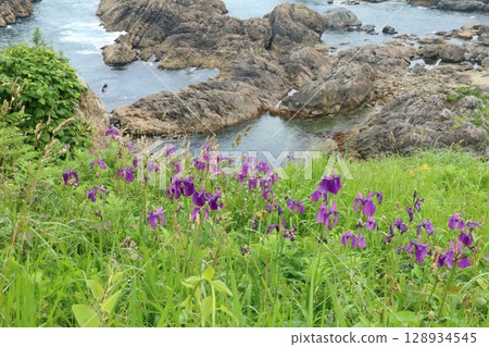 Tanesashi Coast Nakasuka, colored by wildflowers in summer 128934545