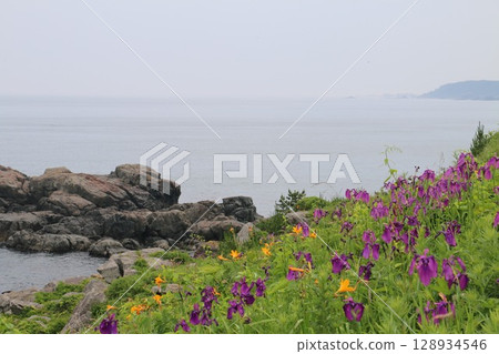 Tanesashi Coast Nakasuka, colored by wildflowers in summer 128934546