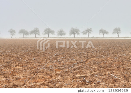 Frozen field and trees at the beginning of winter 128934989