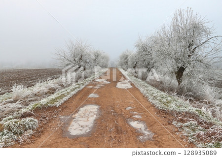 Road with frozen puddles and trees 128935089