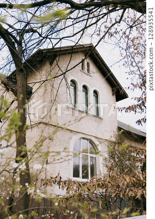 historic house with white and green roofs. house is surrounded by trees and it has lot of leaves.  128935541