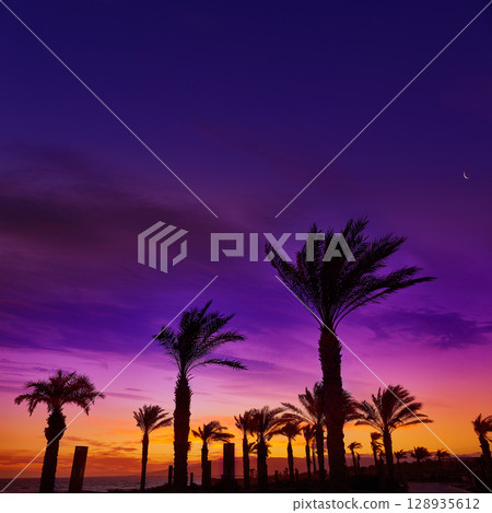 Almeria Cabo de Gata sunset in Retamar beach 128935612