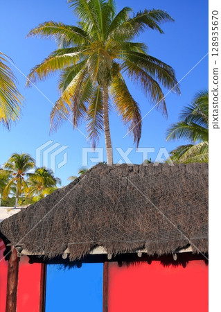 Caribbean hut red  house coconut palm trees 128935670