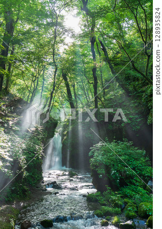 Karuizawa in summer: rays of light shining on Ryugaeshi Falls 128935824